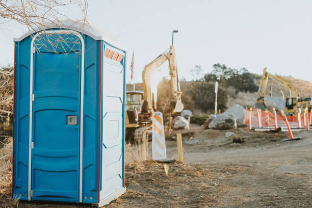 Best Affordable portable toilet rental  in Blue Earth, MN